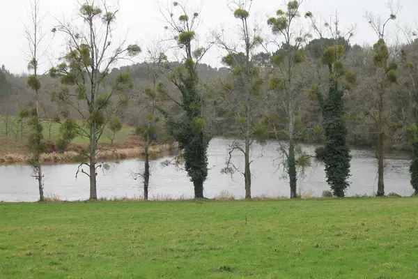Abri Piscine Télescopique Achat abri de piscine Muzillac