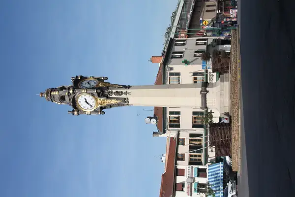 Abri Piscine Télescopique Achat abri de piscine Tassin-la-Demi-Lune